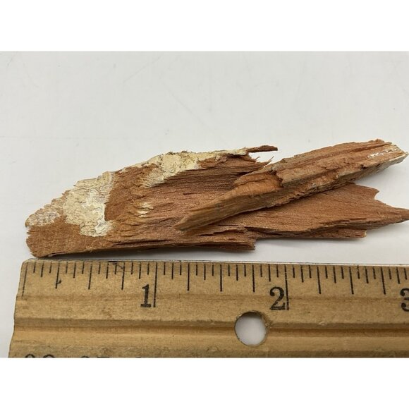 1960 Rose Bowl  Pieces Of Goal Post Torn Down By The Washington Husky Fans - Picture 8 of 11